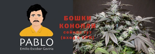 ПСИЛОЦИБИНОВЫЕ ГРИБЫ Армянск