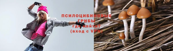 спайс Арсеньев