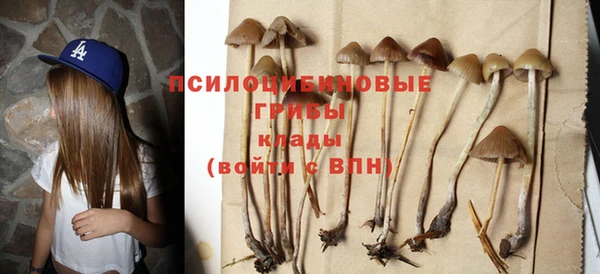 спайс Арсеньев