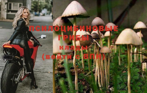 спайс Арсеньев