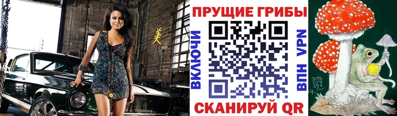 Галлюциногенные грибы мухоморы  Купить  Полярные Зори 